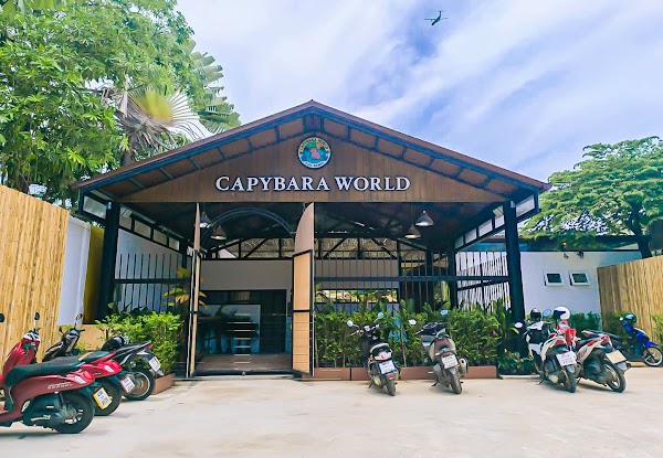 Capybara World Koh Samui