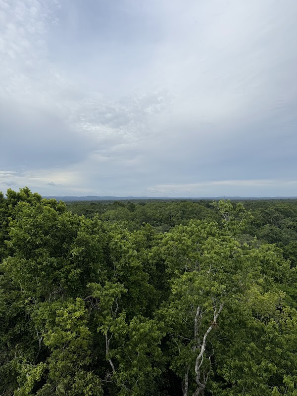 Acropolis Norte Yaxha 4