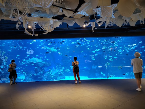 Aquaria Phuket 1