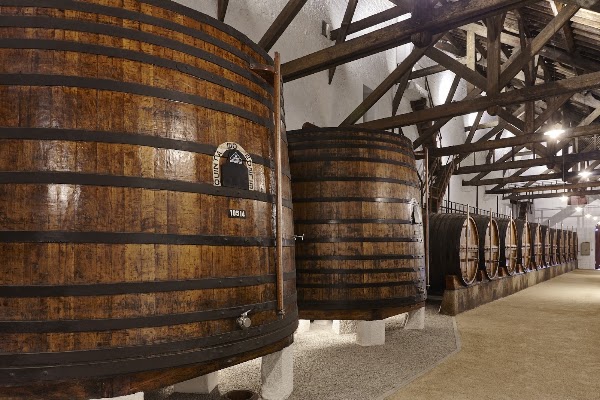 Quinta do Bomfim 5