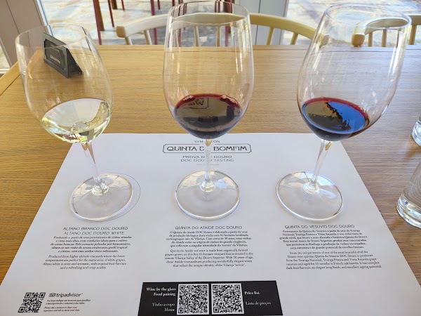 Quinta do Bomfim 4