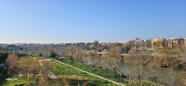 Affaccio sul Tevere Tiberis 2