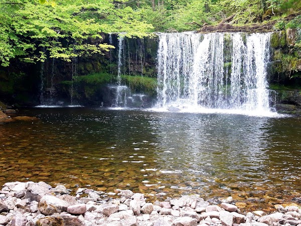 Wales 51