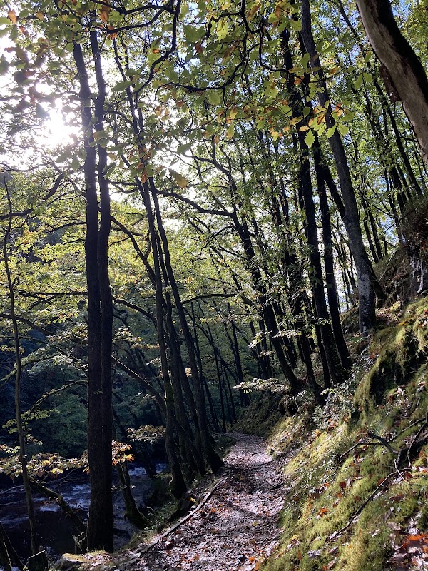 Elidir Trail 3