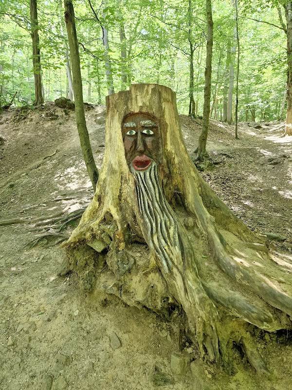 Binger Wald