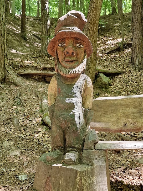 Binger Wald 3
