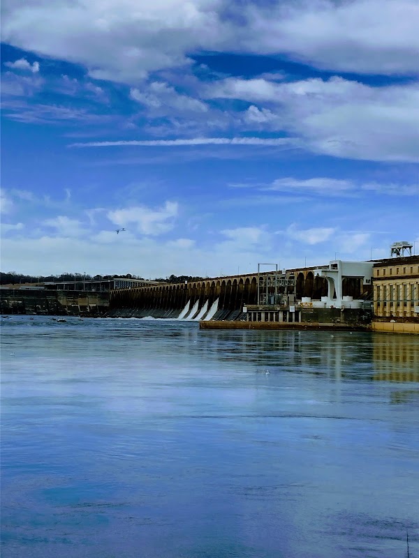 Gadsden 5