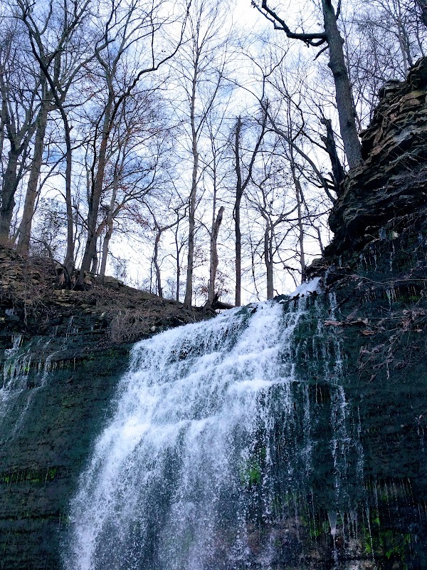 Gadsden 3