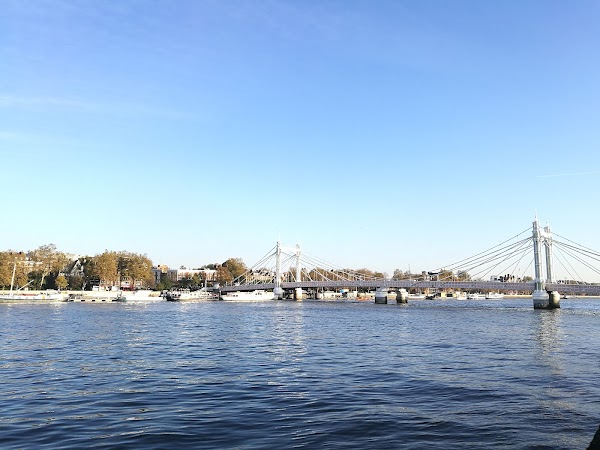Albert Bridge 5