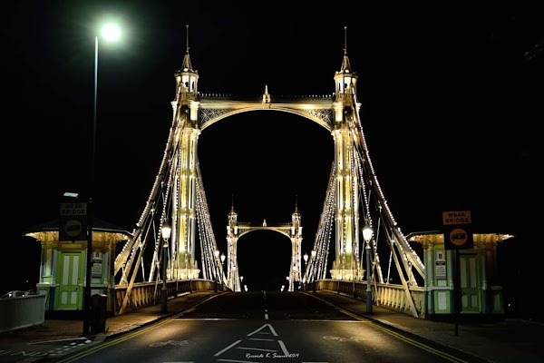 Albert Bridge 2