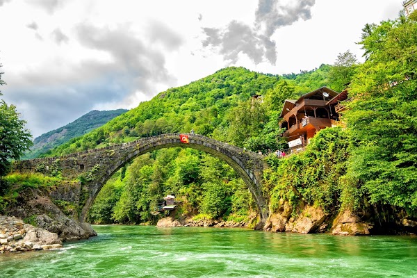 Timisvat Bridge 1