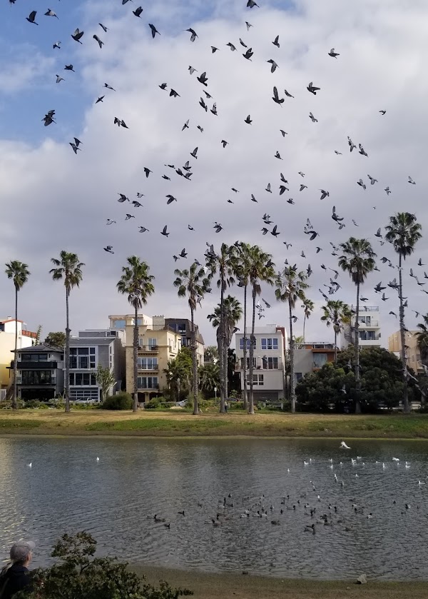 Playa del Rey