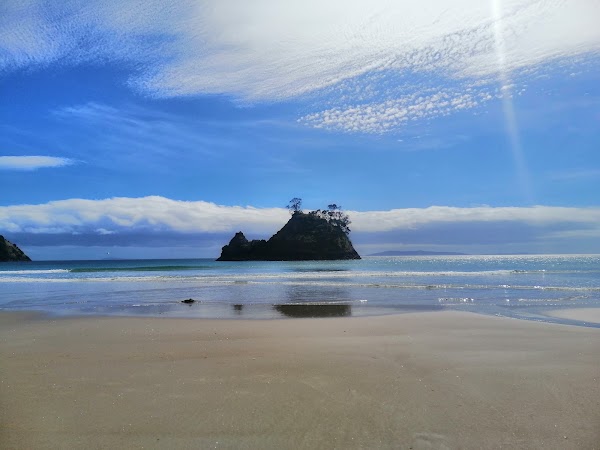 Whangapoua Beach