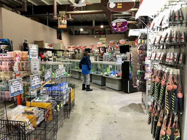 Pisces Exotica Pet Emporium LTD. 2