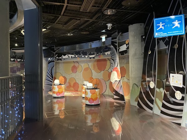 Wonder Museum 3