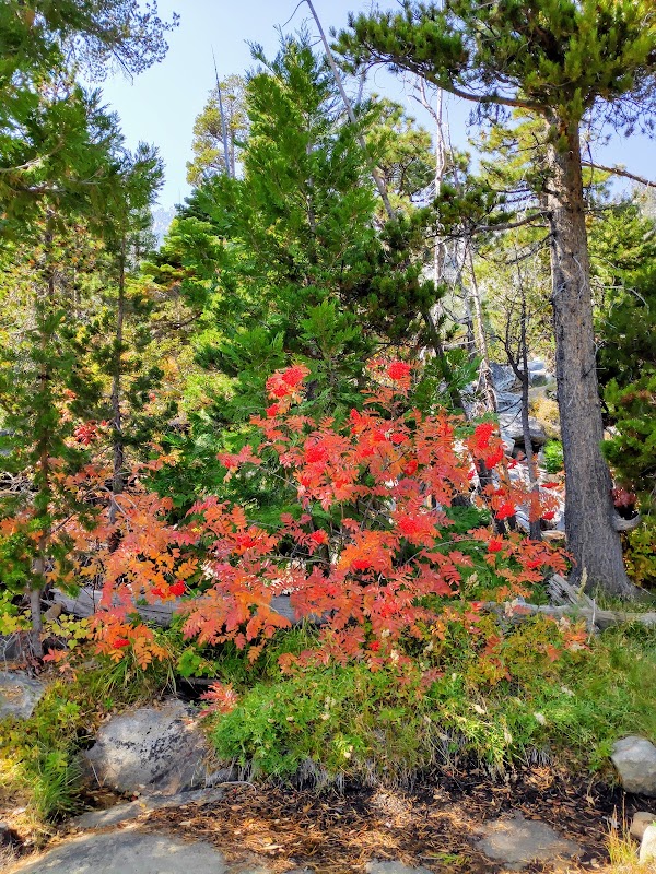 Cascade Falls 2
