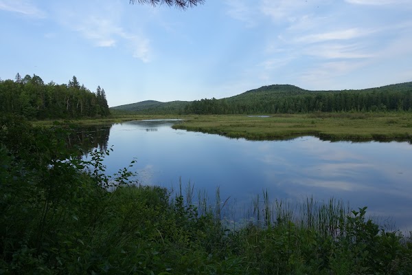 Stratton Brook Pond