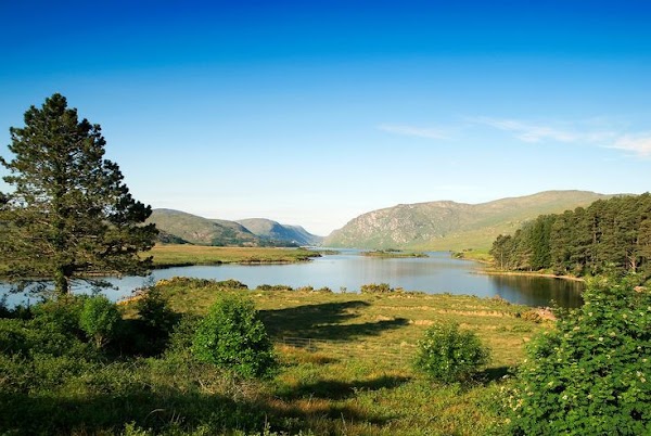 Ireland 20