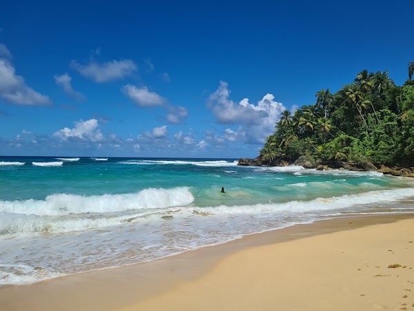 Caribbean 7