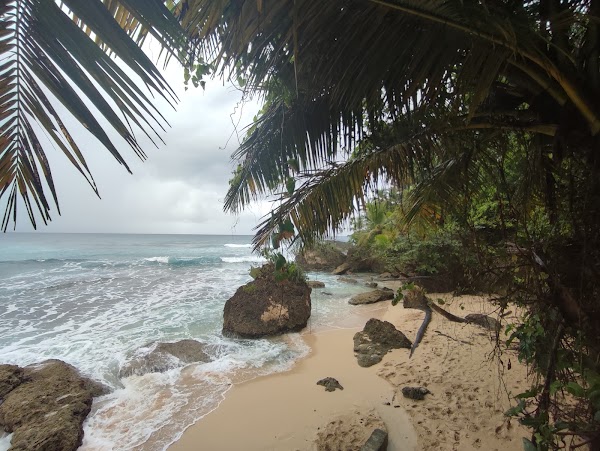 Playa Grande 5