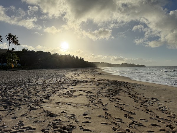 Playa Grande 2