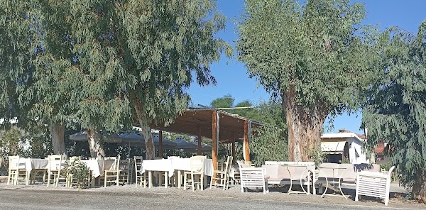 Lola's beach tavern 1