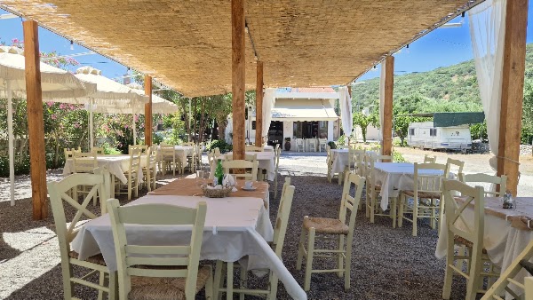 Lola's beach tavern 3
