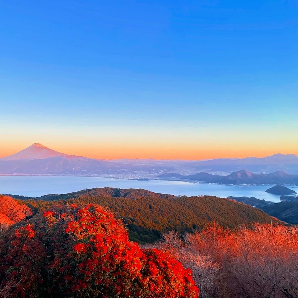 Mt. Daruma Observatory