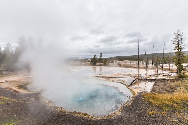 Firehole Lake Drive 1