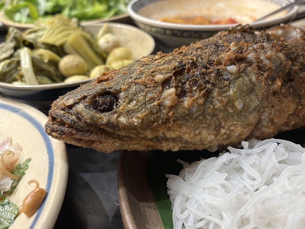 Tầm vị 4