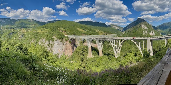 Tara Bridge Guesthouse -пити Каву