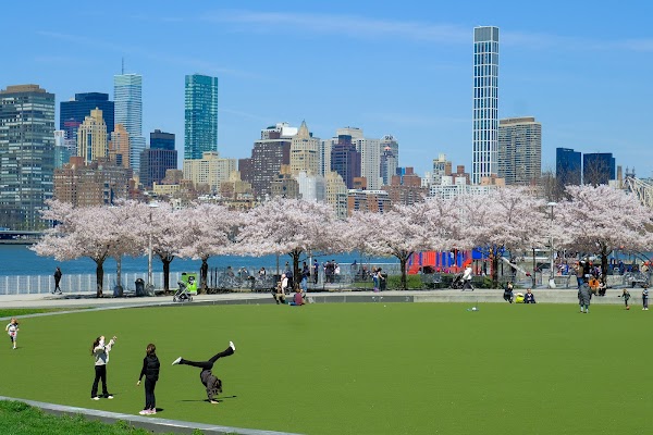 Hunter's Point South Park 1