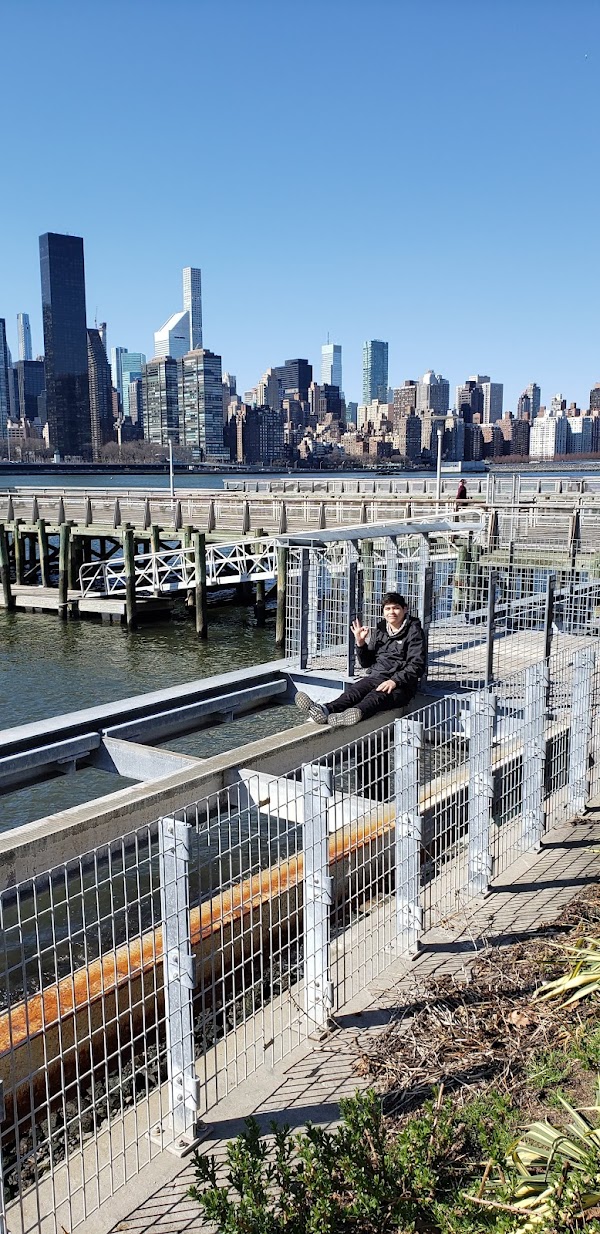 Hunter's Point South Park 2