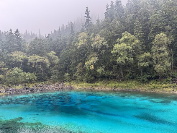 Five Flower Lake 5