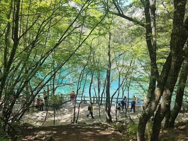 Five Flower Lake 4