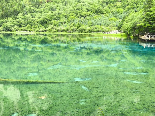 Five Flower Lake 2