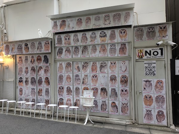 Owl Cafe Tokyo 5