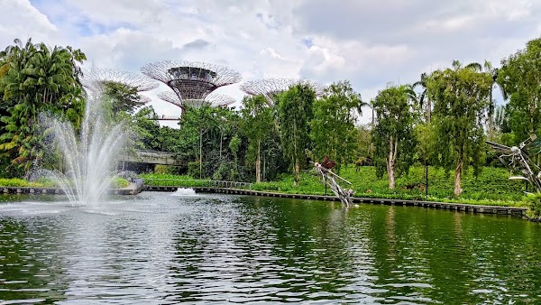 Dragonfly Lake 1