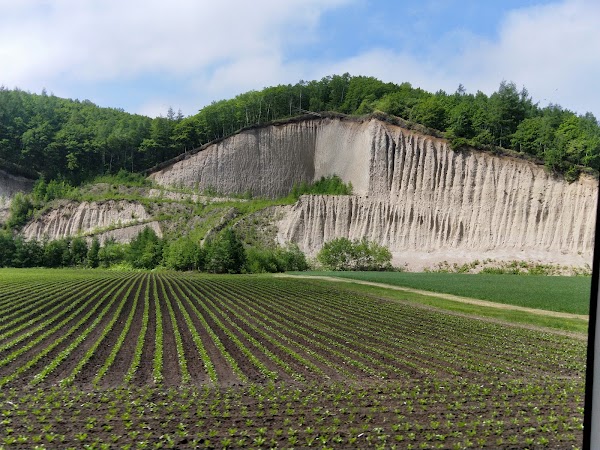 Koshimizu 4