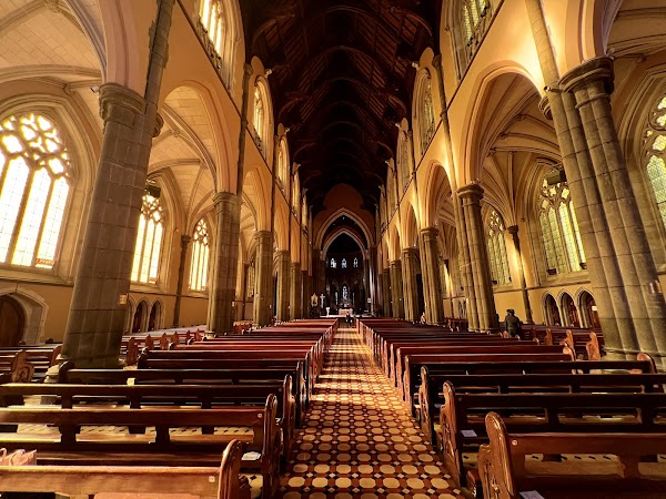 St. Patrick's Cathedral 5