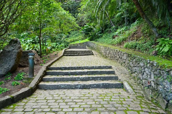 Parque Natural Municipal da Catacumba 4