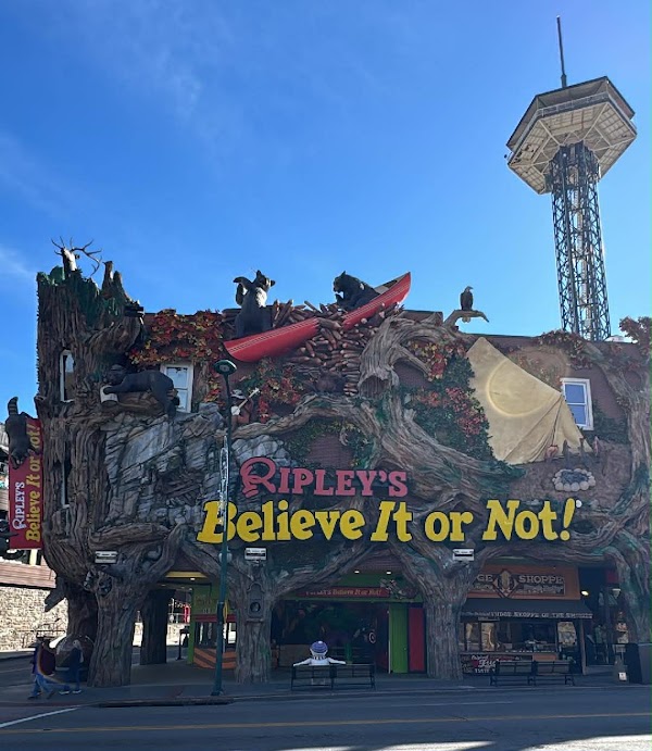 Downtown Gatlinburg.com 1