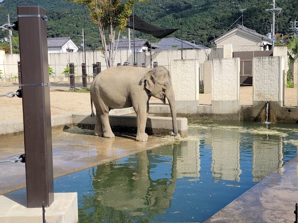 Kyoto City Zoo 2