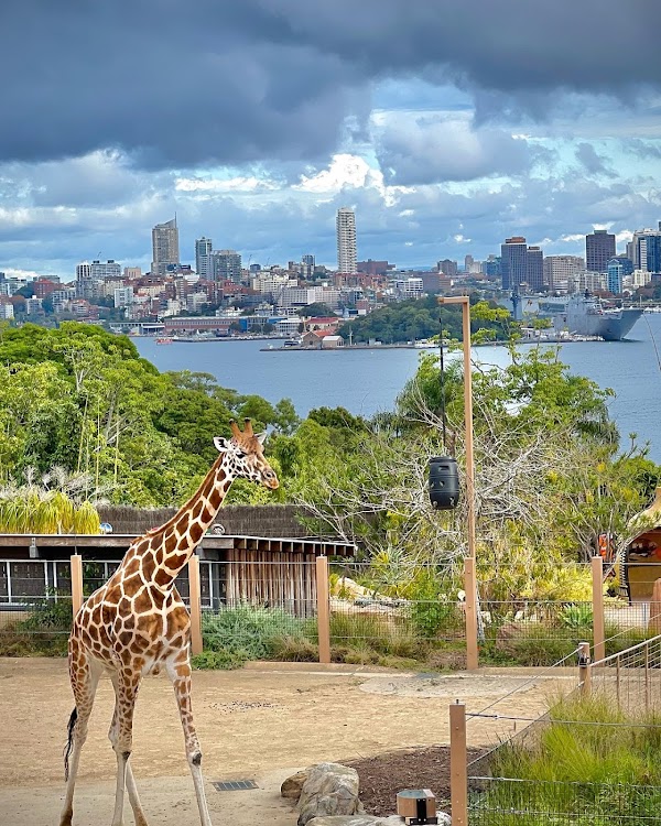 Taronga Zoo Sydney 5