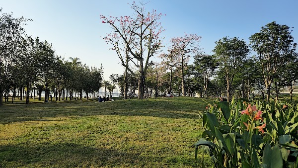 Qianhai Park