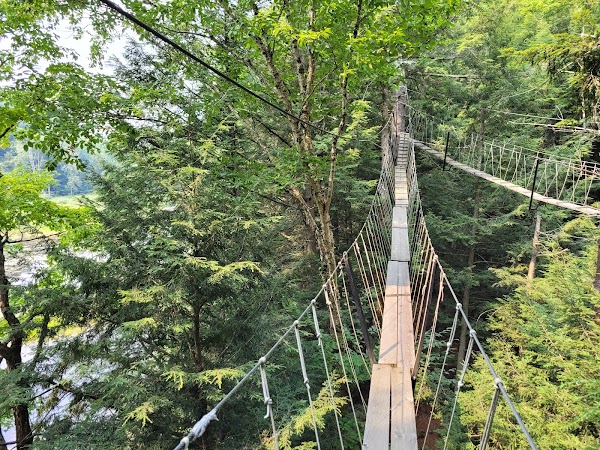 Haliburton Forest & Wild Life Reserve Ltd 4