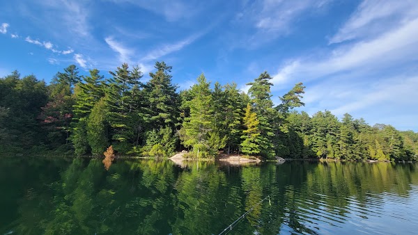 Haliburton Forest & Wild Life Reserve Ltd 3