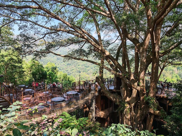 The Giant Chiangmai Thailand 3