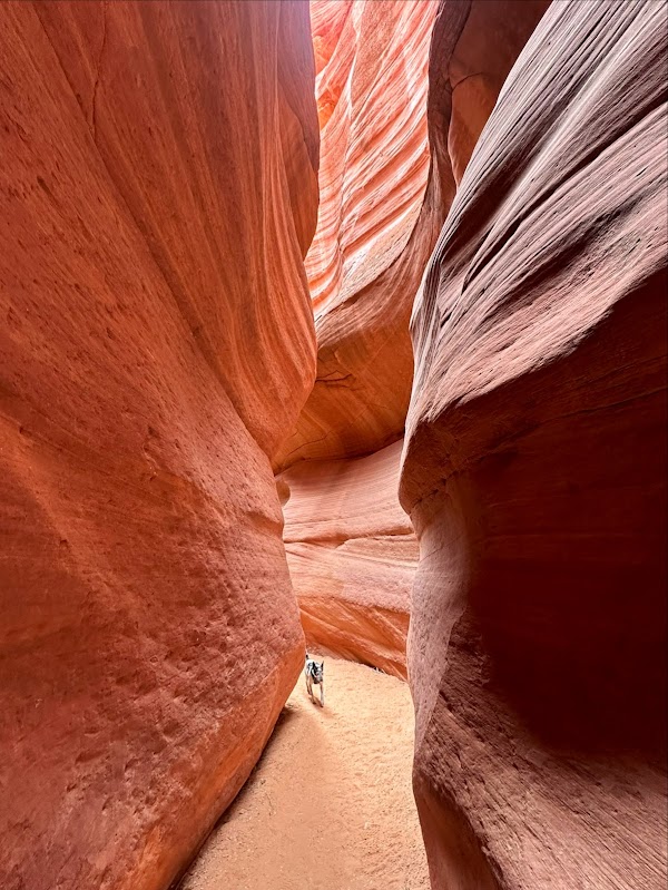 Red Canyon Slot (Peekaboo Kanab)