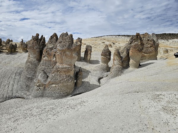 Reserva Nacional de Salinas y Aguada Blanca 1